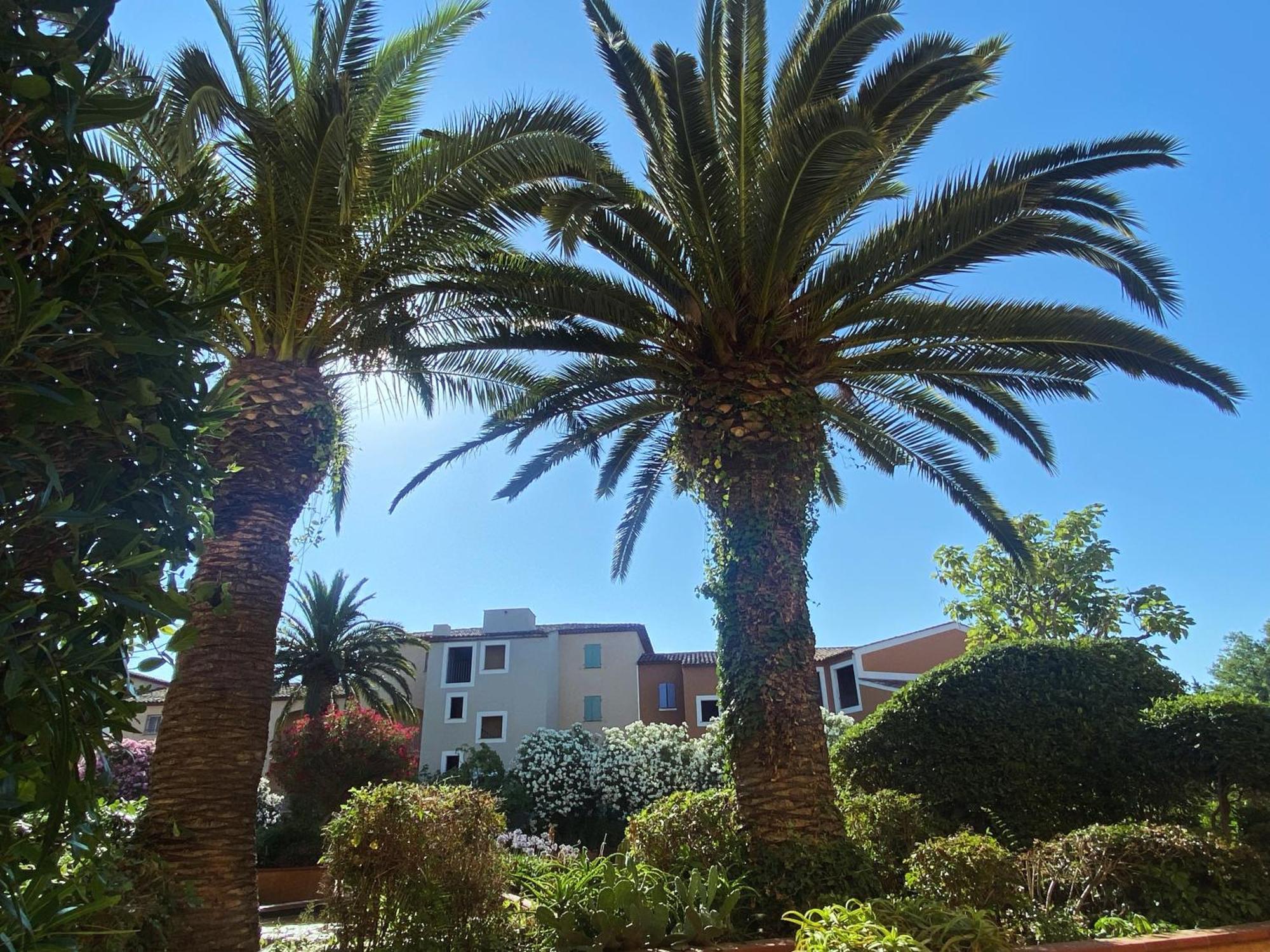 קוגולין 2 Bedrooms, 15 Min Walk To Beach, Ac, Pool & Fiber Internet In A Quiet, Private Gated Domain 5Kms To St Tropez מראה חיצוני תמונה